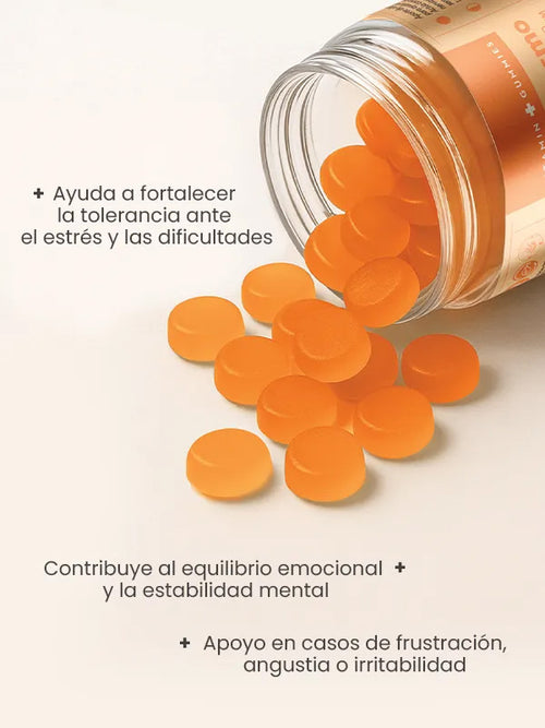Vitamin + Gummies Entusiasmo