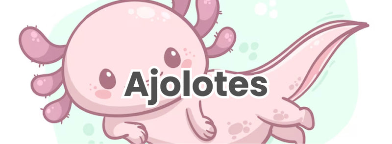 Ajolotes
