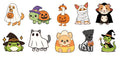 PREVENTA Picks Acrylic Animalitos Halloween