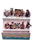 Picks Acrylic WWE