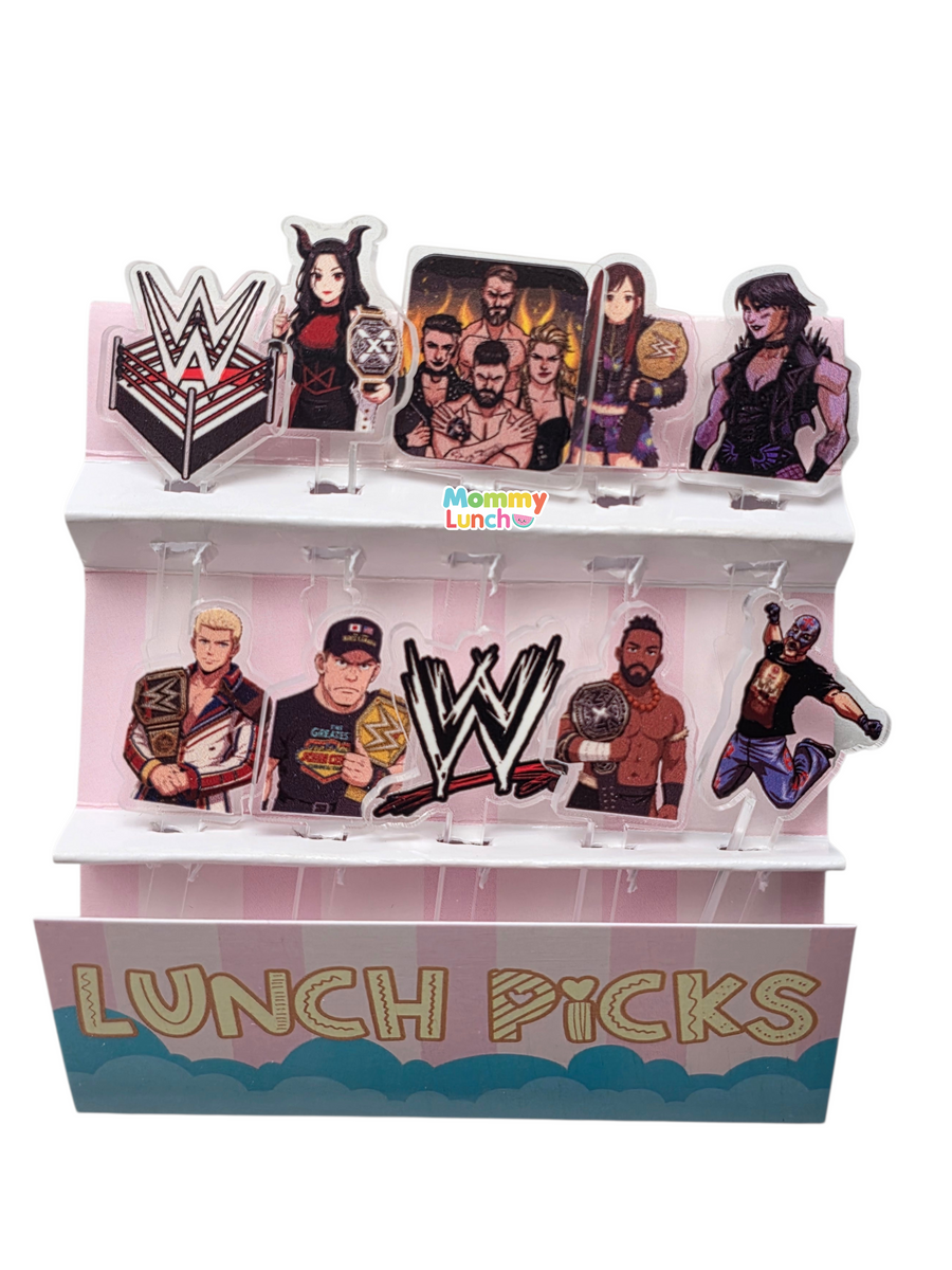 Picks Acrylic WWE